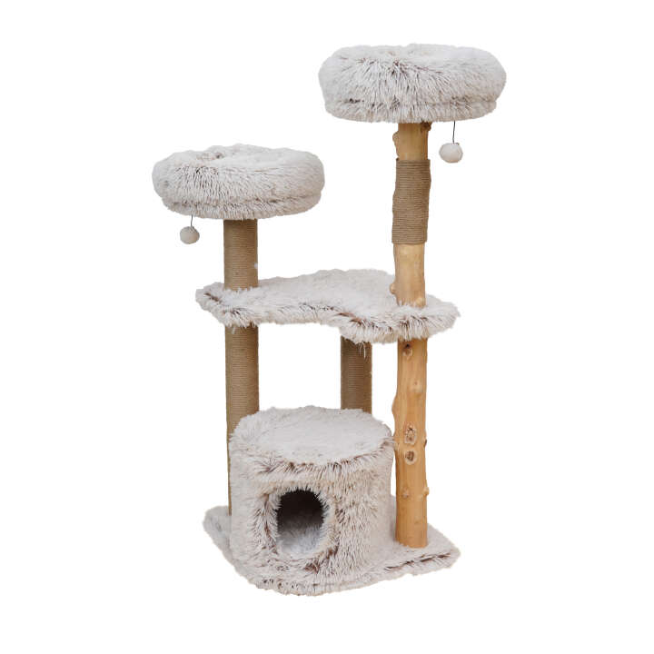 EBI Kratzbaum Marseille